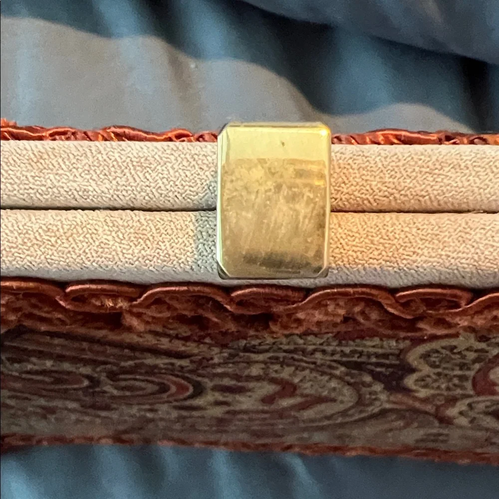 MOO ROO Charleston Handmade Vintage 2001 Burnt Orange Paisley Velvet-Trim Clutch - Picture 11 of 17